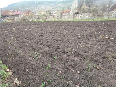 Teren intravilan 600 mp cu utilitati in Suceagu!