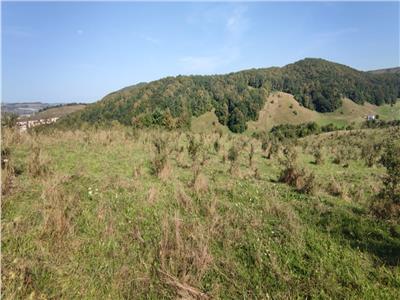 Teren intravilan in Floresti 5640 mp, apa si curentul la baza terenului. Ideal pentru investitie!