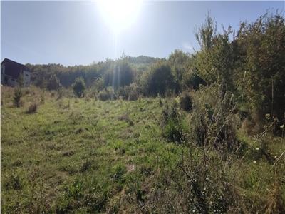 Teren intravilan in Floresti 5640 mp, apa si curentul la baza terenului. Ideal pentru investitie!