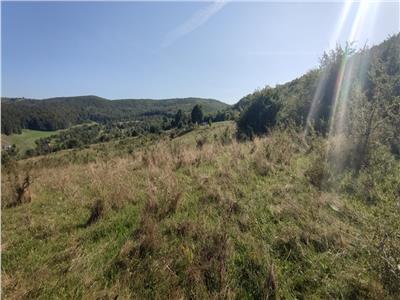 Teren intravilan in Floresti 5640 mp, apa si curentul la baza terenului. Ideal pentru investitie!