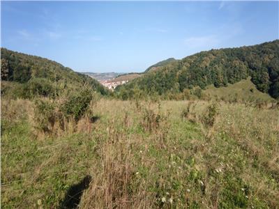 Teren intravilan in Floresti 5640 mp, apa si curentul la baza terenului. Ideal pentru investitie!