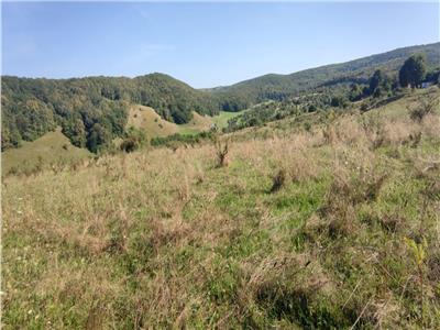 Teren intravilan in Floresti 5640 mp, apa si curentul la baza terenului. Ideal pentru investitie!