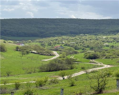 Teren intravilan de vanzare, parcela de 1093 mp, in Floresti zona Sinaslau. Floresti