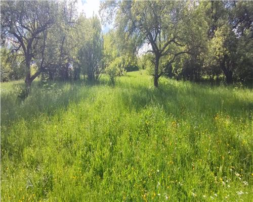Teren intravilan de vanzare, parcela de 1093 mp, in Floresti zona Sinaslau.