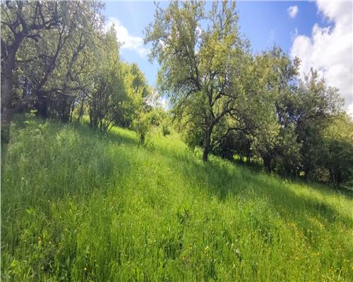 Teren intravilan de vanzare, parcela de 1093 mp, in Floresti zona Sinaslau.