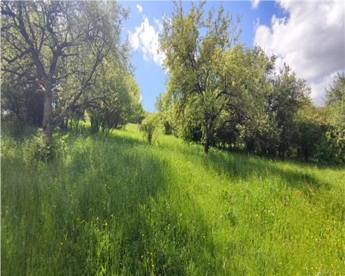 Teren intravilan de vanzare, parcela de 1093 mp, in Floresti zona Sinaslau.