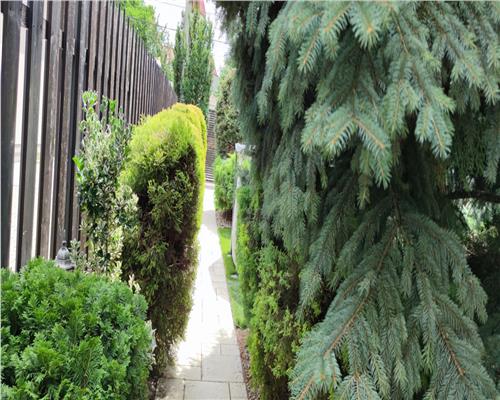 Comision 0%! Casa spatioasa mobilata si utilata in Floresti, curte generoasa amenajata cu multa verdeata!