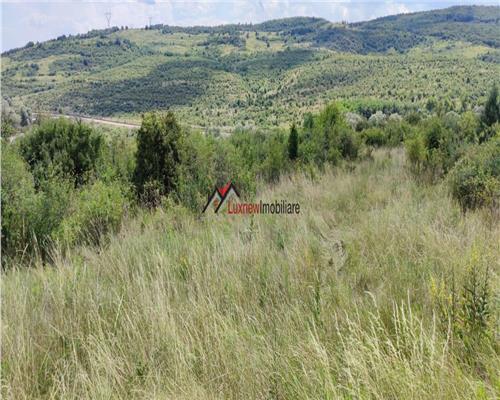 Teren Intravilan 586 mp în Rădaia ! Doar 31.000 € ! Zonă în plina dezvoltare!