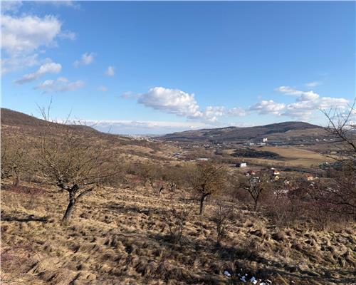 Teren Intravilan 586 mp în Rădaia ! Doar 31.000 € ! Zonă în plina dezvoltare!