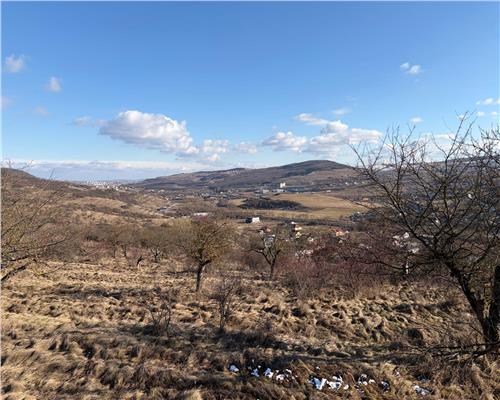 Teren Intravilan 586 mp în Rădaia ! Doar 31.000 € ! Zonă în plina dezvoltare!