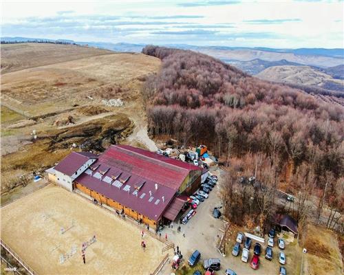 Teren extravilan 4.500 mp în Ciurila – natură, liniște și intimitate, aproape de zona împădurită