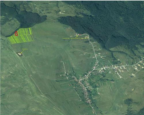 Teren extravilan 4.500 mp în Ciurila – natură, liniște și intimitate, aproape de zona împădurită