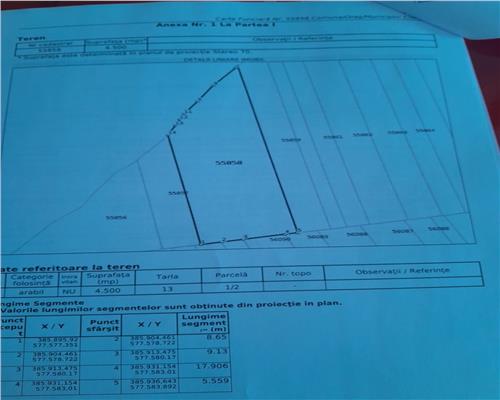 Teren extravilan 4.500 mp în Ciurila – natură, liniște și intimitate, aproape de zona împădurită