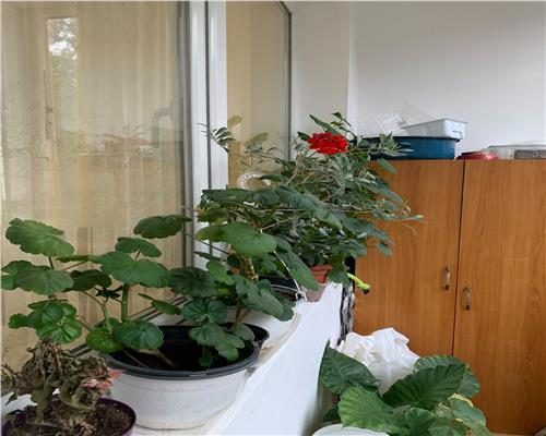 Apartament 2 camere + bucătărie, renovat recent, cu parcare – Dealul Florilor, Dej